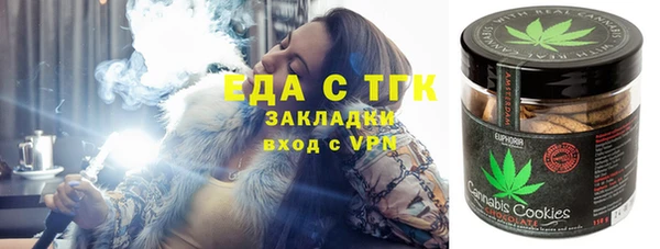 гашик Аркадак