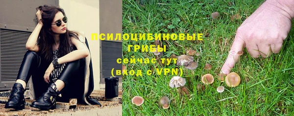 гашик Аркадак