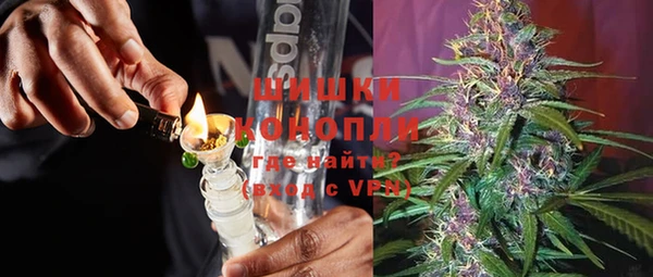гашик Аркадак