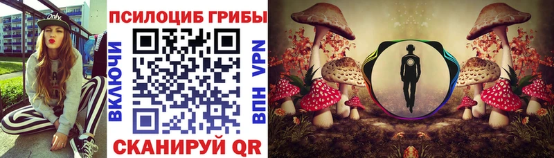 Псилоцибиновые грибы Psilocybe Куса